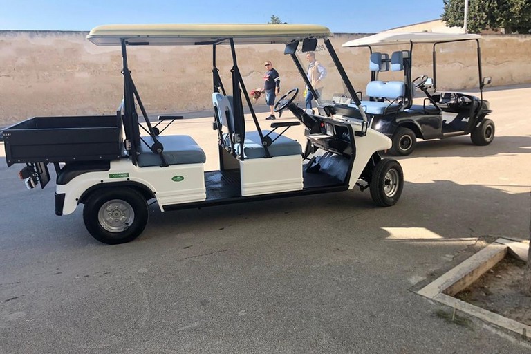 Auto elettrica