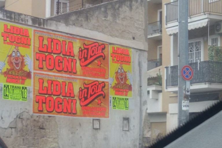 A Trani ritorna il circo "Lidia Togni" e il problema delle affissioni abusive - TraniViva
