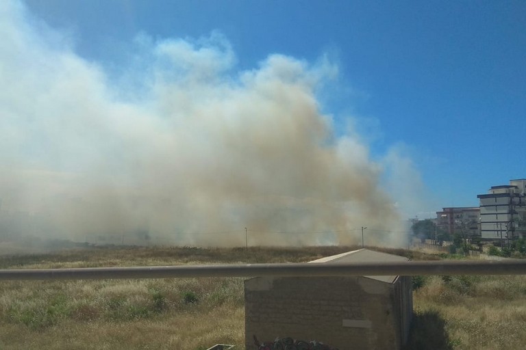 Incendio di sterpaglie nei pressi del cavalcavia di via Superga