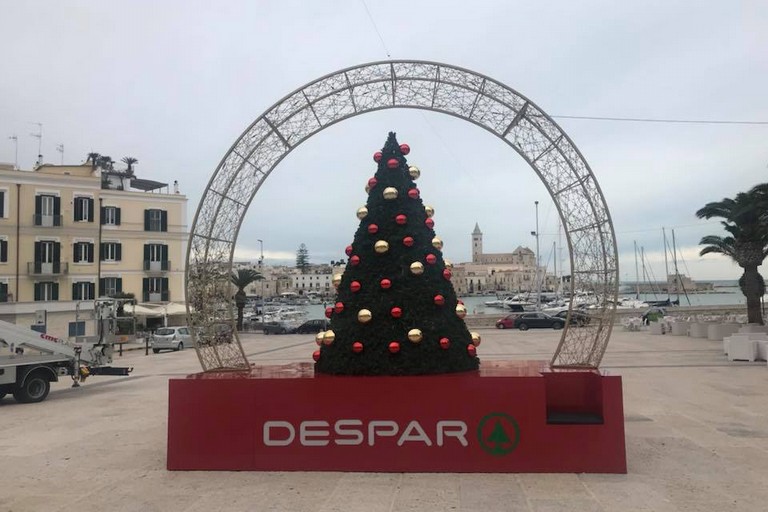 Albero di Natale in Piazza Quercia