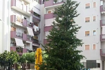 Albero natale pozzopiano