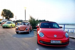 "Bulli & Maggiolini": a Trani il via all'11° raduno internazionale Volkswagen in Puglia