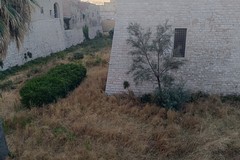 Il Fossato del Castello Svevo di Trani in stato di abbandono: necessario un intervento urgente