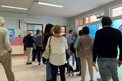 Elezioni Trani 2026, affluenza ore 19 ha votato il 37,60 % degli elettori. Dato in leggero aumento rispetto al 2020