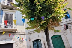 Ferragosto a Trani: toh, son tornate le bandierine!