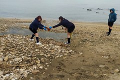 I volontari Scout e Legambiente impegnati nella pulizia della costa nord di Trani