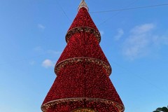 Trani, in piazza Quercia si accende il grande albero 3d di Despar Centro-Sud