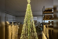 In via Domenico Pastina si accende l'Albero di "RispettiAmo Trani"