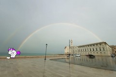 L'unicorno