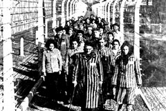 Shoah, sollevare quel manto d’indifferenza
