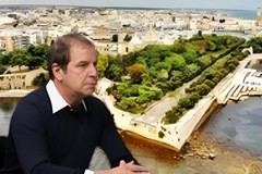 Osservatorio De Feudis | Trani ultima nel verde, bocciato il Comune: «Manca il Bilancio arboreo»