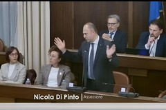 Caso foto in Consiglio Comunale: la replica dell’assessore Di Pinto. «Nessun contatto con la stampa né foto diffuse sui social, tutelerò la mia onorabilità»