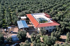 Lungo le vie degli ulivi: l'oleoturismo anche a Trani diventa la nuova strada per far crescere la Puglia