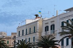 La bandiera dell’Ucraina sventola anche sul porto di Trani