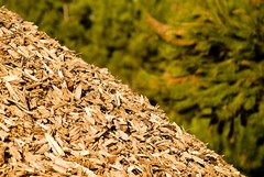 Fondi per impianti a biomasse: chiamata del Gal