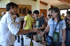 Torna "Cantine aperte": a Trani visita a Villa Schinosa