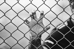 Le detenute del Carcere Femminile di Trani scrivono a Papa Francesco