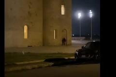 Orina sui muri della Cattedrale, tolleranza zero del Comune: "Gesto ignobile, caccia al responsabile"