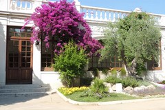 Trani, lo Chalet della Villa diventa il regno dei bambini: oggi laboratori e magia con «Emozioni tutte per me»