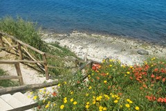 Ammnistrative 2026 | Coalizione di Centrodestra: "Costa Sud, non si baratta la sicurezza dei cittadini con una medaglia elettorale”