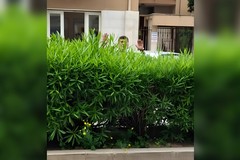 Domenico Briguglio | Verde pubblico e incuria a Trani, la denuncia del consigliere di Puglia Popolare: “Manca programmazione, soldi pubblici da monitorare”