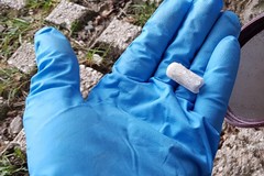 Allarme avvelenamenti di animali nel Quartiere Sant'Angelo a Trani