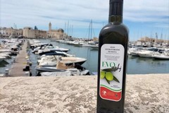 Nasce EVOgghj, l'olio solidale della Città di Trani