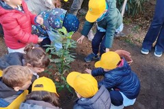 Quattro nuovi alberi piantati dai volontari di Legambiente