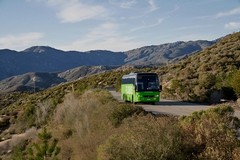 Trani più vicina alla Capitale: FlixBus inaugura la nuova linea diretta per Roma (con fermata in via Superga)