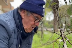 Addio a Franco Perna, il commerciante gentile che regalava bellezza a Trani. Dagli alimentari in via Roma alle aiuole curate per tutti