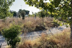 Parco di via Giachetti, la denuncia del consigliere Centrone:  "Realizzato, consegnato e...abbandonato"