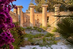 Riapre il Giardino Telesio: finalmente un polmone verde nella zona sud di Trani