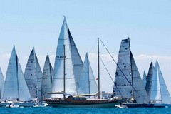 Voglia di mare, a vele spiegate: "Vela Day" alla Lega navale Italiana di Trani