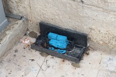 Trappole per topi o insidia per bambini?