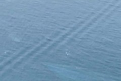 Un "tremito" al largo delle Isole Tremiti: l'onda anomala dopo la scossa di oggi