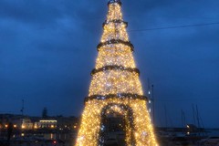 Trani, in piazza Quercia si accende il grande albero di Despar Centro-Sud