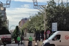 Allestimento botanico in piazza della Repubblica: possibile proroga fino a gennaio