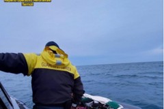 Da Trani alle Isole Tremiti per rubare ricci di mare, sanzionati sei pescatori