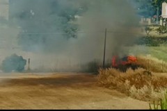 Incendio in un campo in zona Trani centro: intervenuti i Vigili del Fuoco