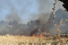 Nuovo incendio a Trani, brucia un terreno in via Palmieri