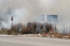 Brucia un terreno in via Grecia all'ingresso per la 16bis