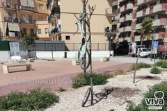 L'albero "appendi bici", la nuova bravata in piazza Giovanni Paolo II