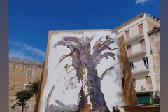 Vandali in piazza Longobardi, Ferrante: «Ti cadono le braccia come quando distruggono i parchi appena realizzati»