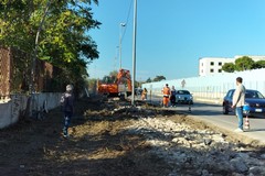 Percorso ciclopedonale e nuovo marciapiede sulla Trani-Andria, iniziate le attività di scavo