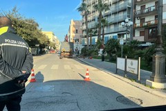 Traffico bloccato in Piazza della Repubblica per la ripulitura delle palme dell'isola pedonale