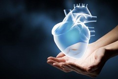 Come evitare l'infarto? Domani un incontro nella sede della Croce Bianca di Trani