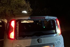 Aggressione pattuglia Guardie Rurali di Trani, Magarelli: «Nelle campagne il clima è diventato insostenibile»