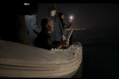 L'ora della Terra celebrata sul Mare: liberate ieri sera al largo di Trani due grandi tartarughe