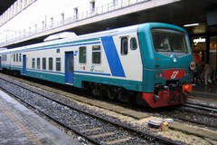 Animale investito a Ortanova, circolazione ferroviaria rallentata: i treni interessati