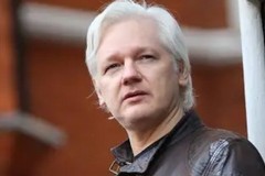 M5S: "Cittadinanza onoraria di Trani a Julian Assange, simbolo della libertà di stampa e di espressione"